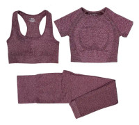 Yoga Set Träningskläder Sportbyxor BH Gym Kläder Shorts För Kvinnor