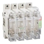 Schneider Electric GS1 L, 4P, 750 V, 8 kV, 50/60 hz, 125 A, 850 ° C