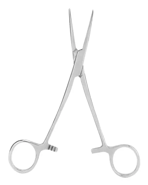 16 cm Rak Kirurgisk Hemostatisk Pincett i Rostfritt Stål Klämtång för Djurhår Djurtillbehör