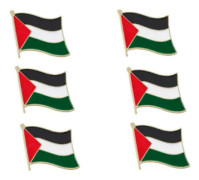 6 × Palestina Palestina Flagga Pin Badge Krage - Fria Palestina