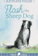 Flash the Sheep Dog