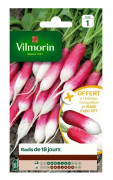 VILMORIN 18 dagar rädisor med en rädisaprov