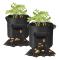 2-pack potatisodlingsväskor, 10 gallon odlingsväskor, blomkruka med handtag