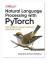 Natural Language Processing with PyTorchlow
