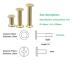 Bindningsskruvar Mässingpläterade Platta Huvudnit M5x25mm (20 st)