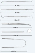 Dental Tools Oral Care Sex Parts Set f?r tandreng?ring och tandskrapning