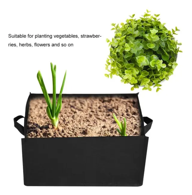 1 st Grönsaksjordgubbsväxt Fyrkantig påse Trädgårdsväxt Blomma plantskola (S 40 30 20cm)