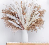 85 st Naturlig Torkad Pampasgräs Bukett, Boho Heminredning Bukett, Phragmites Torkade Blommor, Bukett för Bröllop Blomsterarrangemang Hemdekorationer