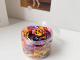 1000 st gummiband för hår, engångsgummiband, minir