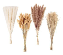100 st Torkad Pampas Gräs Dekor Pampas Grass Bunny Tails Torkade Blommor Vass Gräs Bukett Kompatibel med Wedd -HG