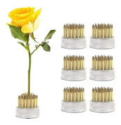 6:a Hem Nybörjare Pin Holder Nål Ikebana Kenzan Blomsterarrangemang