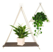 Original träfärg, set med 2, hängande planter och geometrisk vägg