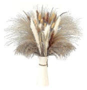 Naturlig Torkad Pampasgräs Torkade Blommor Dekoration Fluffig Pl DXGHC