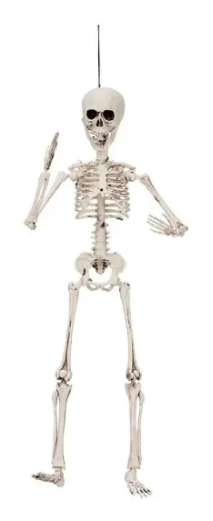 Halloween Skelett 50cm