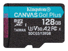 Kingston Canvas Go