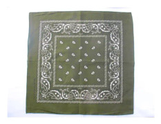 Bandanascarf Paisley mörkgrön Grön