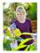 gloria Hobby 10 Yellow Spray - 000860.0000