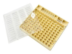 Biodling 1 st Nicot Queen Bee Rearing System Biodling Odla The Queen's Box System Plast Nicot Cage Tools Yellow
