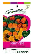 Gondian Marigold Double Dwarf Varierad