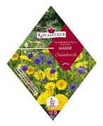 Royalfleur Flower Mix Seeds mon Massif Chambord 3 m - PFRK08692