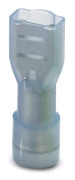 Phoenix Contact 3240540 Flatstifthylsa Anslutningsbredd: 4.8 mm Anslutningstjocklek: 0.8 mm 180 ° Helisolerad Blå 50 st