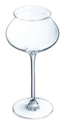 DLM Champagneflöjt genomskinlig 30cl (Förpackning om 6) MACARON FASCINATION - 0883314665543