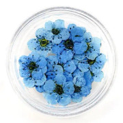 20 st 8mm spetspressade blommor Torkade blommor Epoxiharts Nail Art präglade smycken Safir