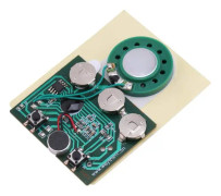 Vce-modul, 30s inspelningsbar musik ljud röstmodul chip 0,5W med knappbatteri ( nyckelkontroll