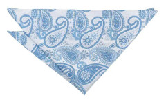 Vit och blå Paisley Bohemian Pocket Square