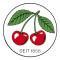 Kirschen 1629004 Svarvmejsel, bearbetning, platt/sned
