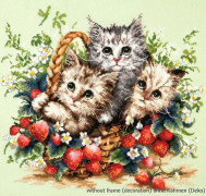 Magic needle creative paper kit - 58-12 - Söt Katzchen Counted Cotton Cross Stitch Kit Flerfärgad 35 x 31 cm