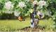 GARDENA Ecoline 17700-20 Blomspade Arbetsbredd 8.5 cm