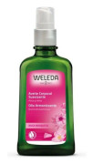Wild Rose Body Oil