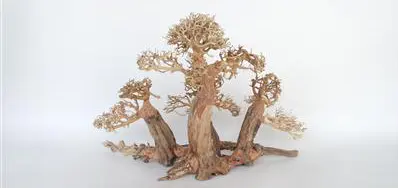 *Bonsaiträd 40x25x20cm