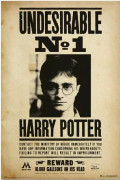 Harry Potter Tearproof Poster N1
