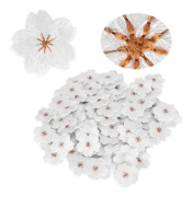 BEL-7423055238007-Broderade mönsterapplikationer 100 delar praktiska broderitygsdekaler, thermocoll sybehörsdekaler