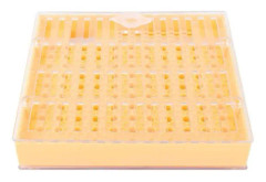 HURRISE Biodling Cell Cup Plast Bee Cell Cup Kit Queen Rearing System Culture Box