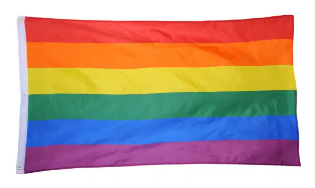  Prideflagga / Regnbågsflagga