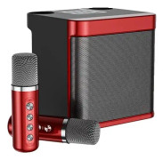 Karaoke-maskin, dubbla mikrofoner, bärbar Bluetooth-högtalare, T4-Standard_Svart
