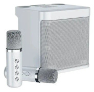 Karaoke-maskin, dubbla mikrofoner, bärbar Bluetooth-högtalare, Standard Svart