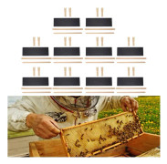 10 set Bikupa ramar Foundations Kit Honey Bee Ramar med bivax belagda livsmedelsklassade foundation lakan Biodlingstillbehör