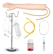 Provtagningsarm - Intravenös träningsarm - Utbildningsarm - Övningsarm - Venpunktion