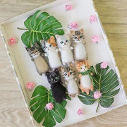 DIY Ullfilt Kattleksaker Plyschdocka Present Till Kattälskare, Nålfiltning Kattschablon Kit, Söta Kattullfilt Plyschdockor, Handgjorda Oavslutade Kattleksaker