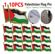 2-10PCS Palestina FLAGGA BADGE Rostfritt stål Palestinaflagga Pin Lapel Badge Ryggsäck Ikon علم دولة فلسطين