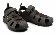 Teva