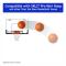 5” Gummimini-basketboll för Mini-basketkorg, 2-pack, Säker & Tyst Liten Basketboll för Över Dörren Mini-basketkorg Set
