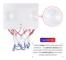 Mini basketbollkorg set, mini basketbollkorg med bollar och pump, kontorsbasketbollkorg, mini basketbollbräda för kontor, rum, sovrum, badrum