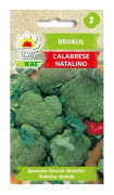 Broccoli Calabrese Natalino