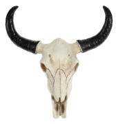 Tjurhuvudskalle Väggkonst Southwestern Cow Steer Skull Nordisk Stil Väggdekoration
