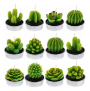 Ljus 6 st Kaktusljus, Handgjorda Succulent Kaktus Tealight Ljus för Spa Hemfest Bröllopsdekoration Gåvor